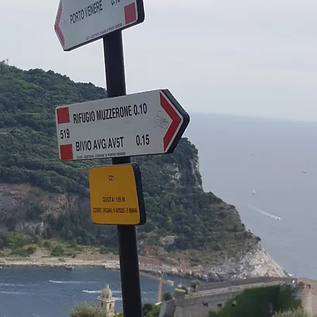 Daire Ibiscus