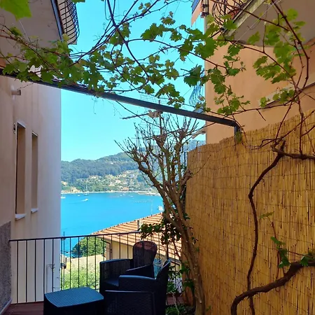 Ibiscus Porto Venere